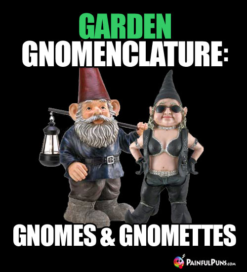 Garden Gnomenclature: Gnomes & Gnomettes