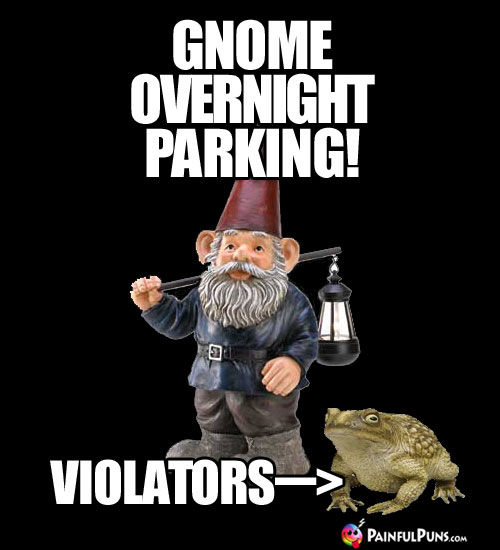 Gnome overnight parking! Violators --> (toad)