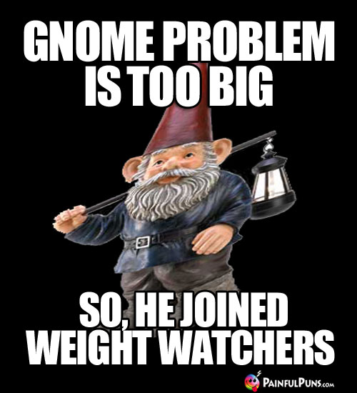 Diet Meme: Gnome problem is too big, so he joined Weight Watchers.