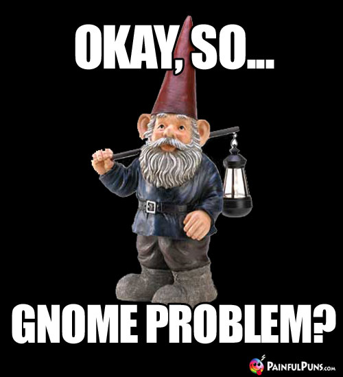 Okay, So... Gnome Problem?