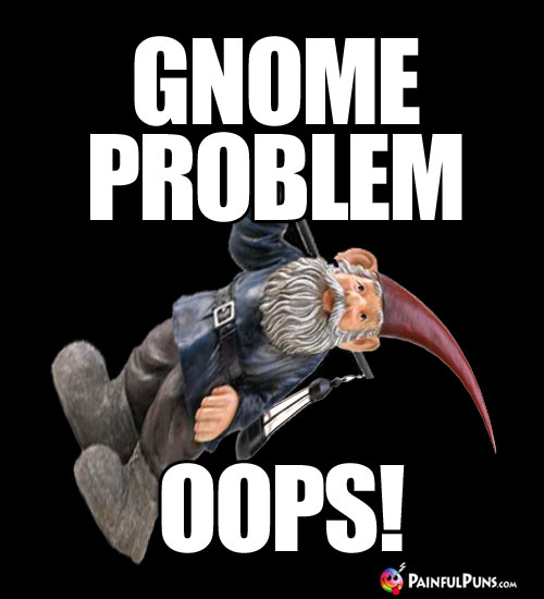 Gnome Problem... Oops!