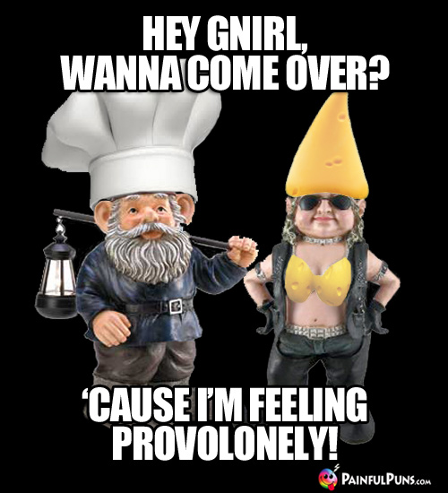 Cheesy Pick-Up Line: Hey Gnirl, wanna come over? 'Cause I'm feeling provolonely!