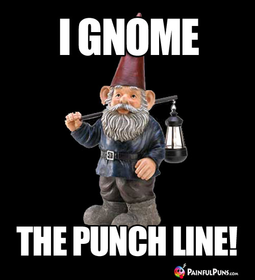 I Gnome The Punch Line!