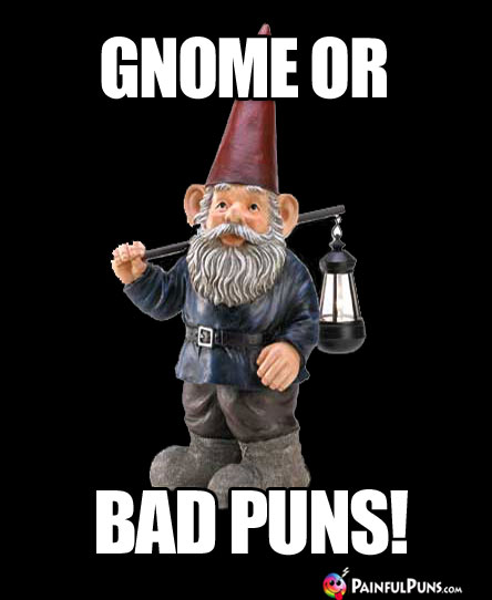 Gnome Or Bad Puns!