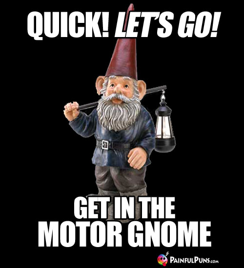 Quick! Let's Go! Get in the motor gnome