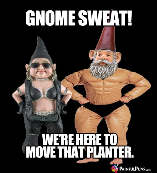 Gnome Sweat! We're here to move that planter.