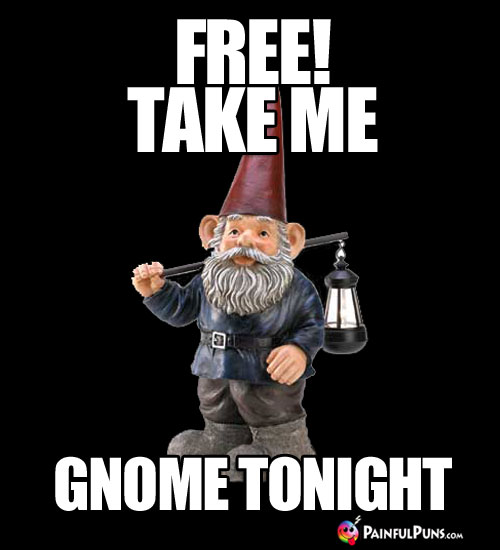 FREE! Take me gnome tonight