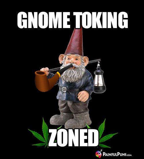 Gnome Toking Zoned