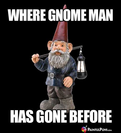 Where Gnome Man Has Gone Before