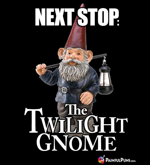 Next Stop: The Twilight Gnome