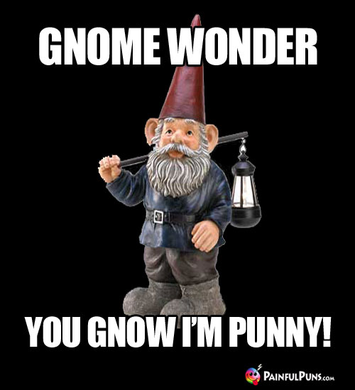 Gnome wonder you gnow I'm punny!