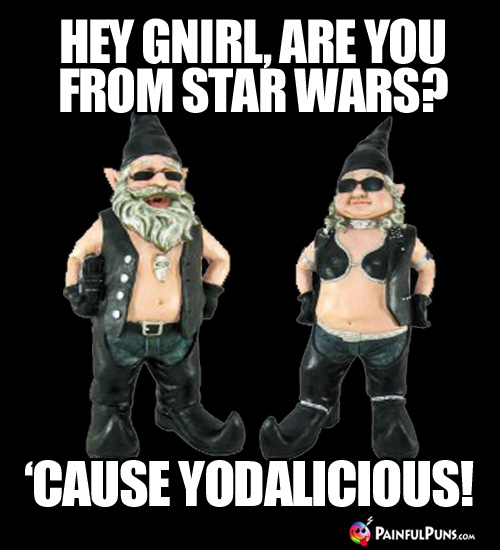 Hey Gnirl, are you from Star Wars? 'Cause yodalicious!