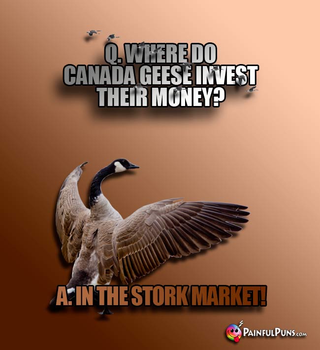 Q. Where do Canada geese invest their money? A. In the Stork Market!