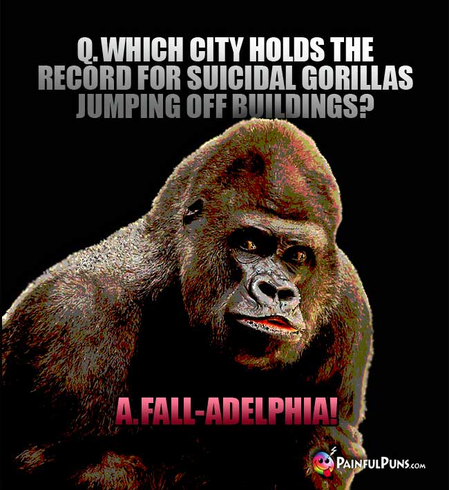 Q. Which city holds the record for suicidal gorillas jumping off buildings? A. Fall-adelphia!