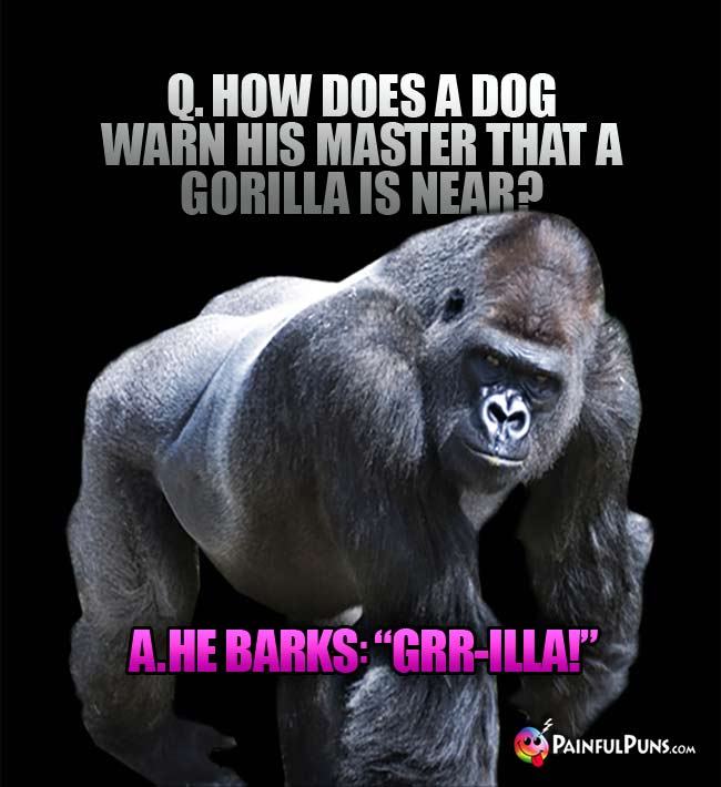 Q. How does a dog warn his master that a gorilla is near? a. He arks: "Brr-illa!"