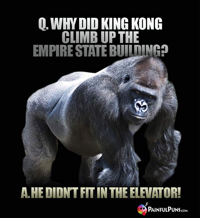 Q. Why did King Kong climb up the Empire State Building? A. He didn't fit in the elevator!