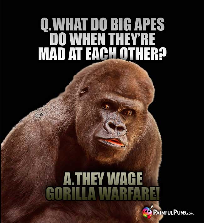Q. What do big apes do when they're mad at each other? A. They wage gorilla warfare!