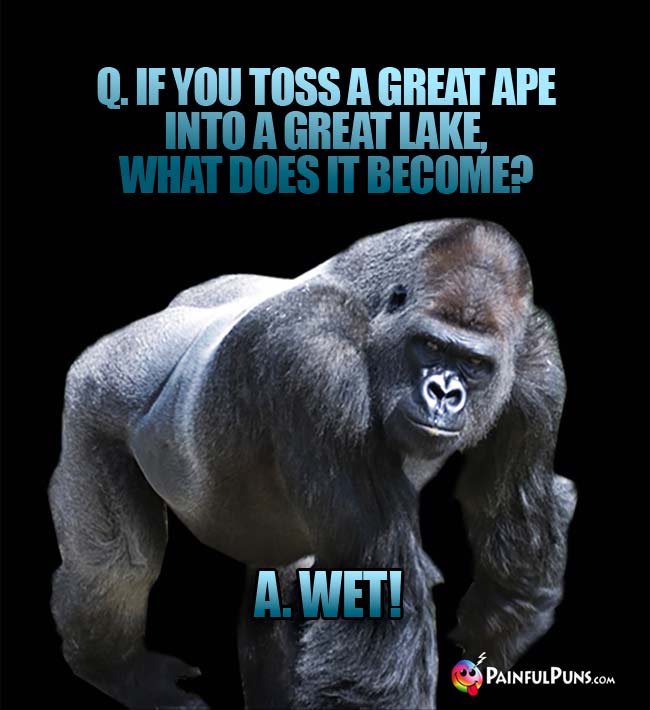Q. If you toss a great ape into a great lake, what does it become? A. Wet!