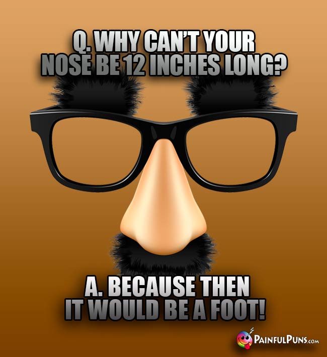 Q. Why can't your nose be 12 inches long? A. Because then it would be a foot!