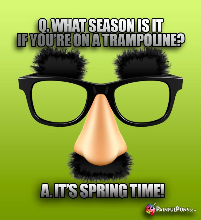 Q. What season is it if you're on a trampoline? A. It's Spring Time!
