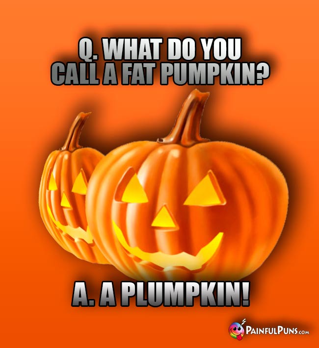 Q. What do you call a fat pumpkin? A. A Plumpkin!