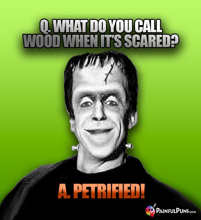Q. What do you call wood when it's scared? A. Petrified!