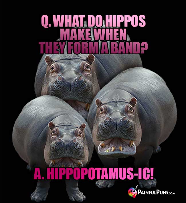 Q. What do hippos make when they form a band? A. Hippopotamus-ic1