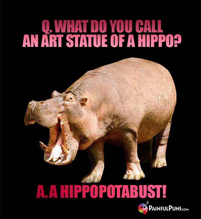 Q. What do you call an art statue of a hippo? A. a hippopotabust!