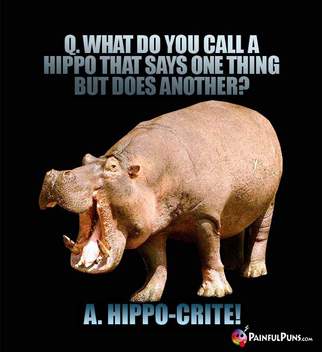 Q. What do you call a hippo that says one thing but does another? A. Hippo-crite!