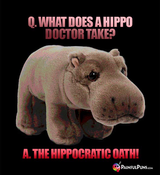 Q. What does a hippo doctor take? a. The Hippocratic Oath!