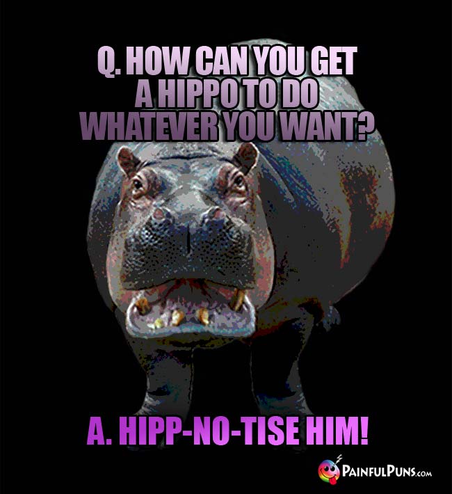 Q. How can you get a hippo to do whatever you want? a. Hipp-Mo-Tise Him!