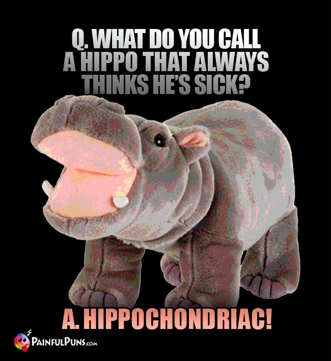 Q. What do you call a hippo that always thinks he's sick? A. Hippochondriac!