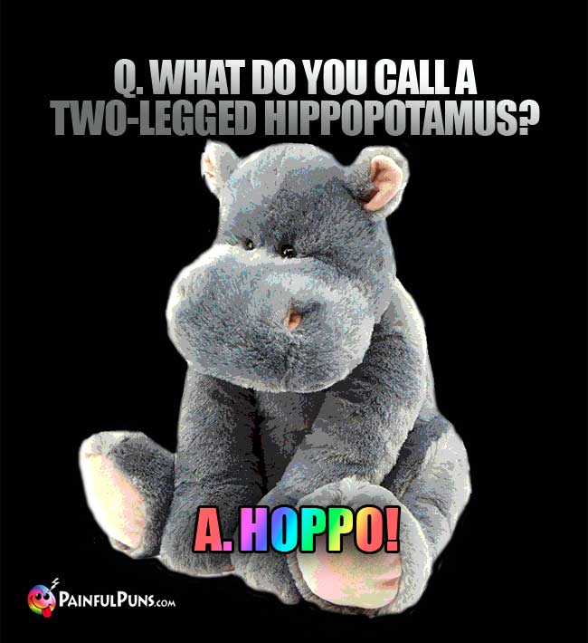 Q. What do you call a two-legged hippopotamus? A. Hoppo!
