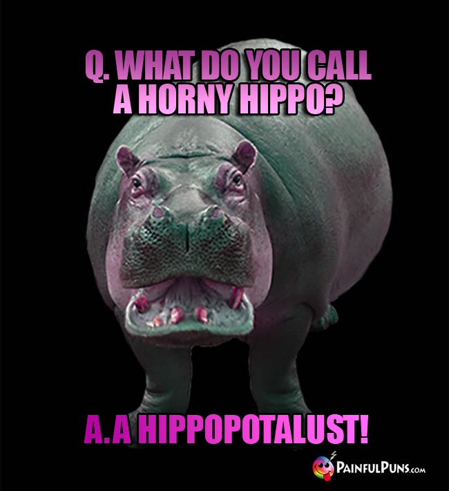 Q. What do you call a horny hippo? a. A hippoputalust!