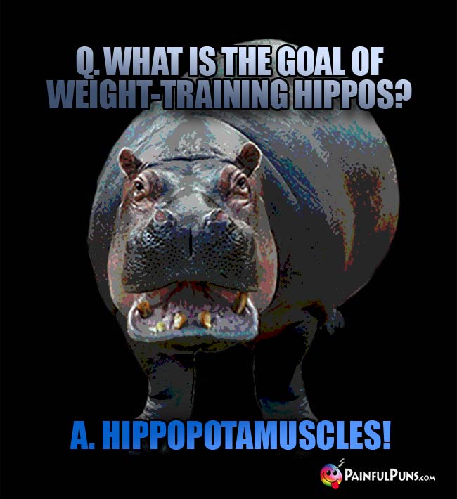 Q. What is the goal of weight-training hippos? a. Hippopotamuscles!