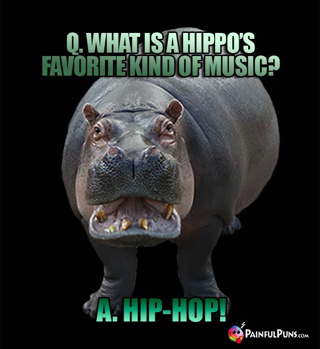 Q. What is a hippo's favorite kind of music? A. Hip-Hop!