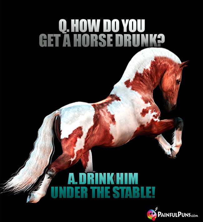 Q. How do you get a horse drunk? A. Drink him under the stable!