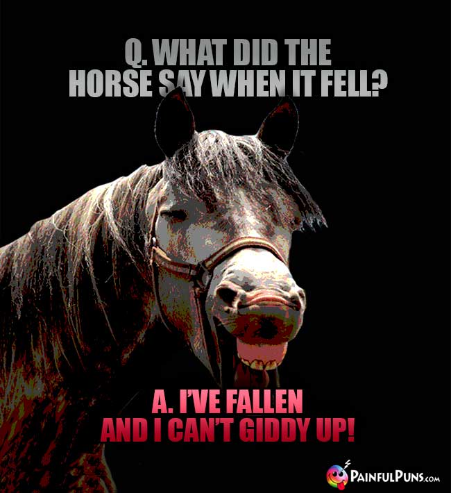 Q. What did the horse say when it fell? A. I've fallen and I can't giddy up!