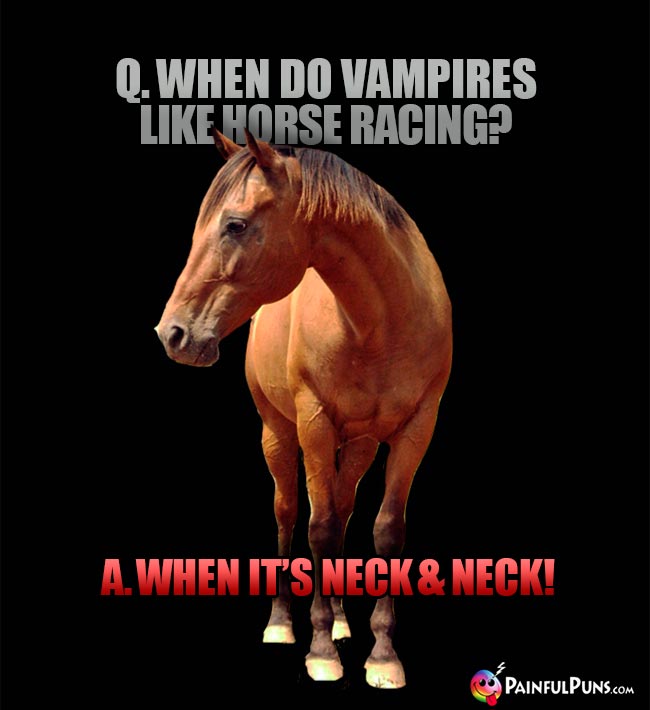 funny horse jokes