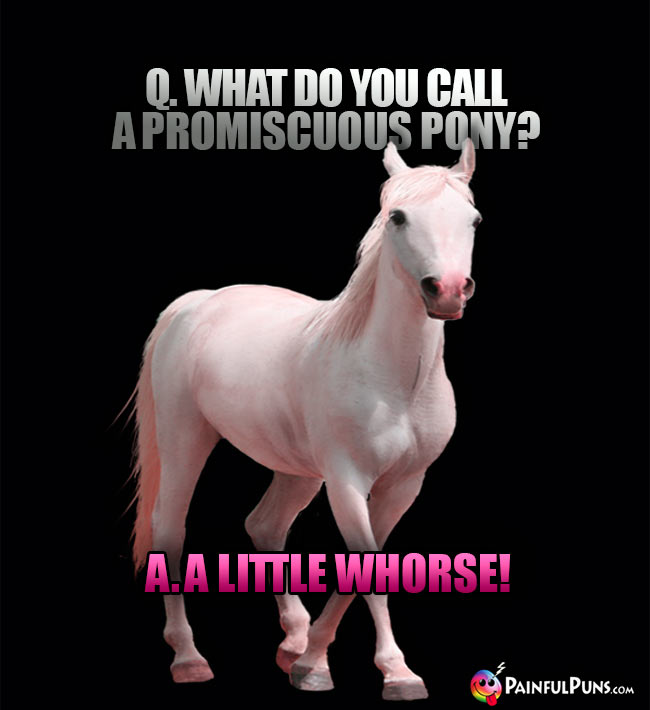 Q. What do you call a promiscuous pony? A. A little whorse!