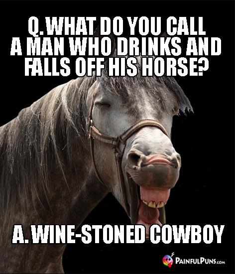 Q. What do you call a man who drinks and falls off his horse? A. Wine-Stoned Cowboy!