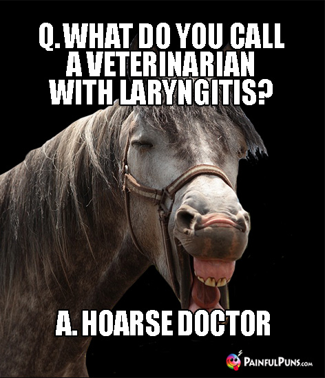 Q. What do you dall a veterinarian with laryngitis? A. Hoarse Doctor