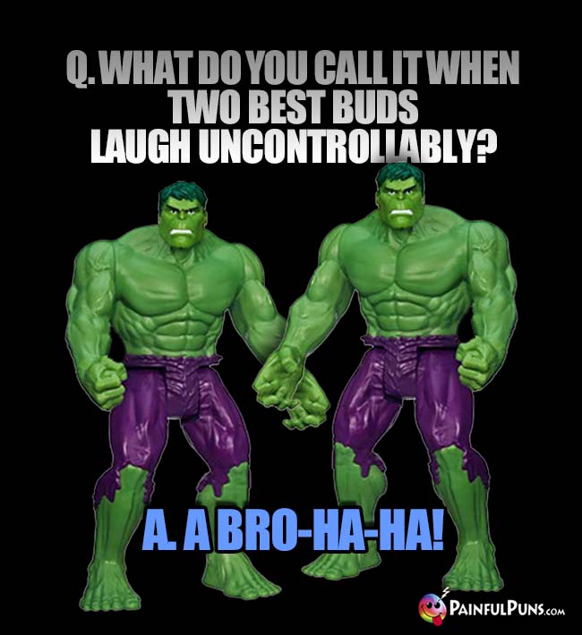Q. What do you call it when two best buds laugh uncontrollably? A. A bro-ha-ha!