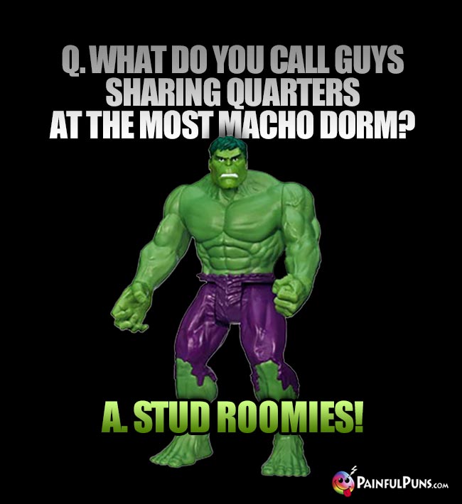 Hulk Asks: What do you call guys sharing quarters at the most macho dorm? A. Stud Roomies!