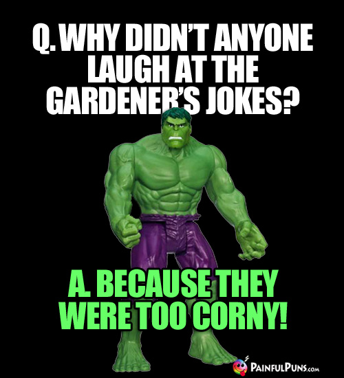 Why didn't anyone laugh at the gardener's jokes? A. Because they were too corny!