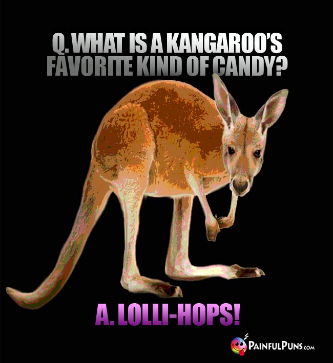 q. What is a kangaroo's favorite kind of candy? A. Lolli-hops!