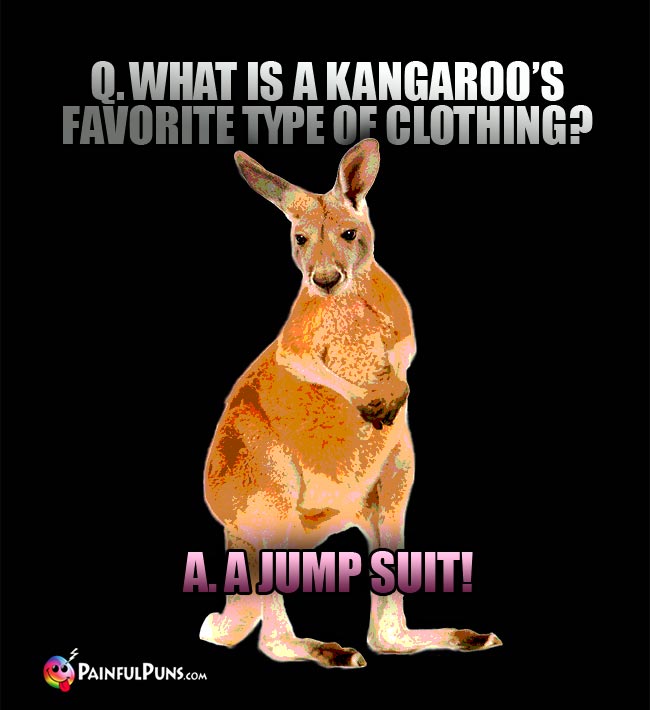 Q. What is a kangaroo's favorite type of clothing? A. A Jump suit!