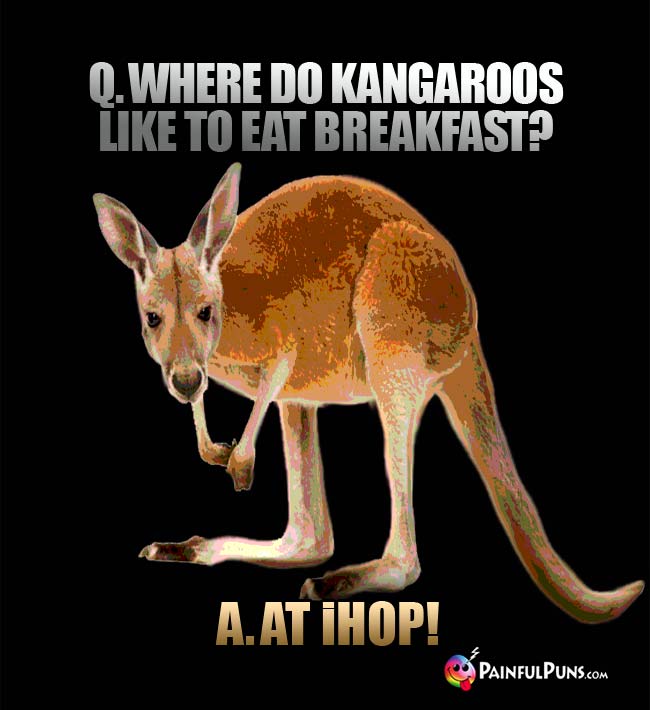 q. Where do kangaroos like to eat breakfast a. at IHOP!