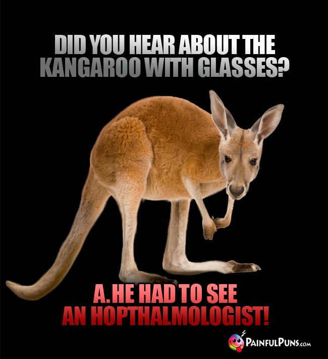 Did you hear about the kangaroo with glasses? He had to see an hopthalmologist!