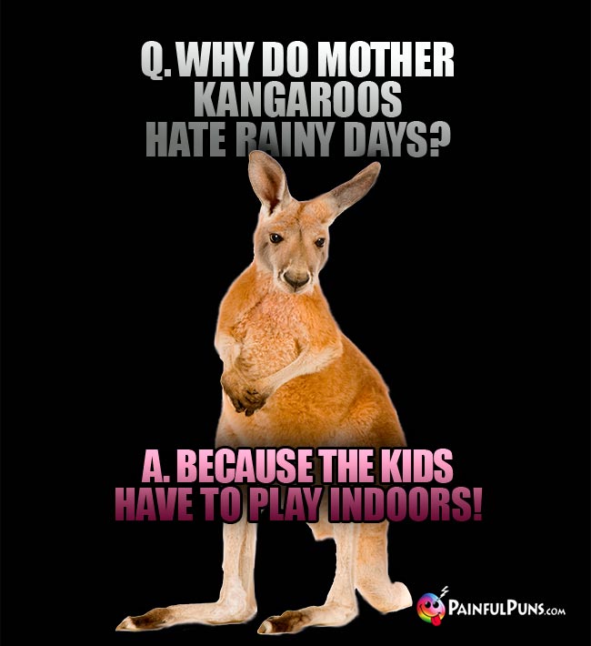 Q. Why do mother kangaroos hat rainy days? A. Because the kids have to play indoors!